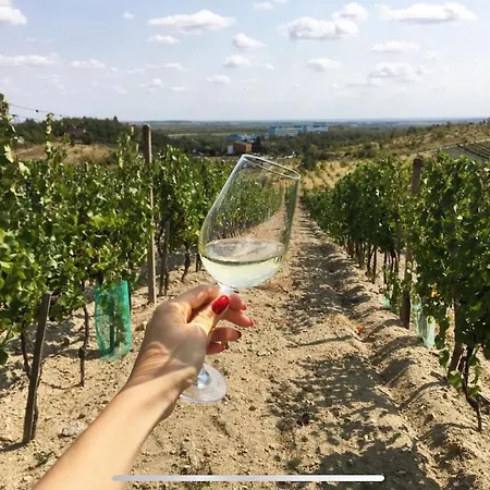 Cozy In Wine Town - Kwatera prywatna