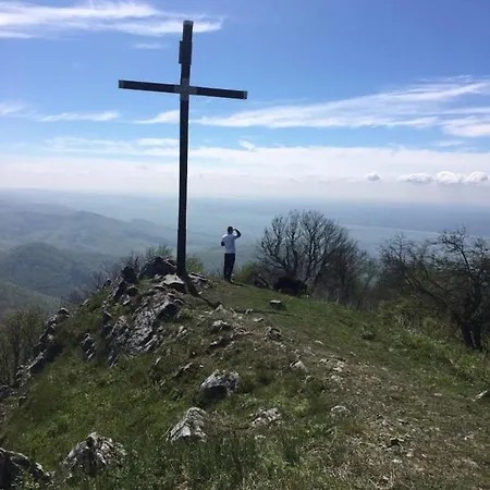 Privatunterkunft Cozy In Wine Town -