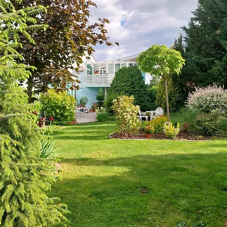 Cozy In Wine Town - Homestay szállás Modor